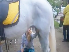 Pony Girl Fucked