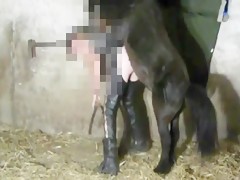 Thumb 11