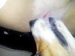 Thumb 11