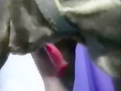 Thumb 12