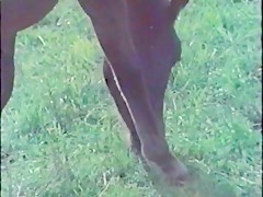 Salpicando el espejo