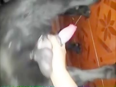 Thumb 11