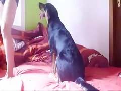 una vez mas la comparte 2