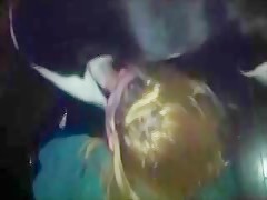 Amores caninos y latinos