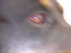 Thumb 20