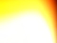 Gathering with the dog