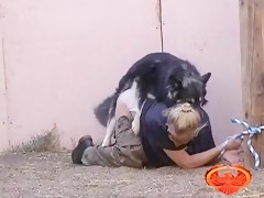 Men licking dogs cock