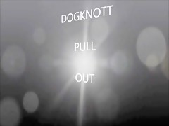 My Dane, My Hero Part 2