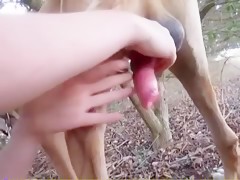 amateur girl masturbates her dog_(new)