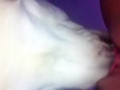 Thumb 16
