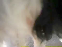 Thumb 12