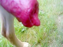 Thumb 15