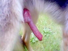 Thumb 20