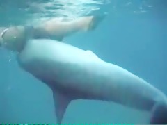 Sexy Dolphin Gangnam Style