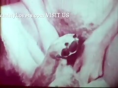 Vintage Dog Sex