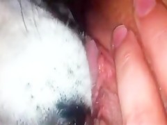 Great lick job by dog