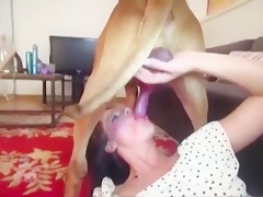 i blew my dog