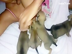 Milk for puppys 5