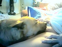 lick