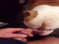 Thumb 1