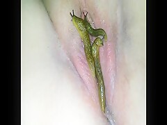 slugs on ass and pussy 10